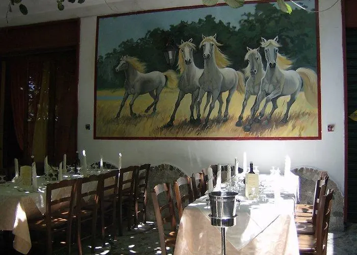 Отель Vecchio West