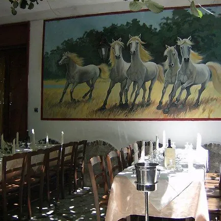 Guest house Vecchio West